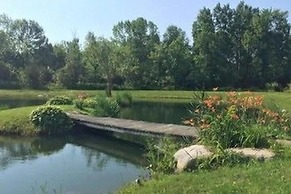 Lakeview Motel and Apartments