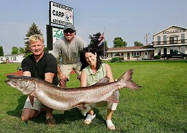 Lakeview Motel and Apartments