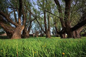 Hillside Colorado Cottages near Westcliffe