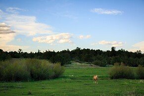 Hillside Colorado Cottages near Westcliffe