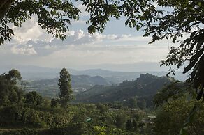 Monte Jazmín