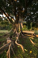 Hotel Fazenda Capoava