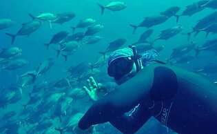 Kurma Eco Beach Lodge