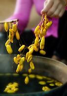 Mulberry Collection Silk Village