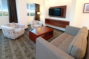 Holiday Inn Leon Plaza Mayor by IHG