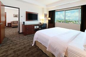 Holiday Inn Leon Plaza Mayor by IHG