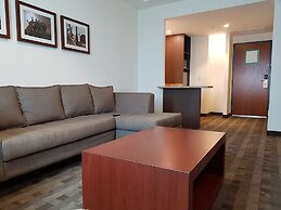 Holiday Inn Leon Plaza Mayor by IHG