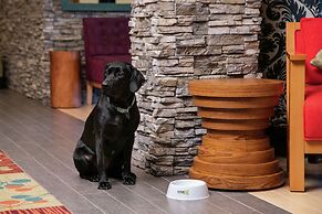 Home2 Suites by Hilton Anchorage / Midtown