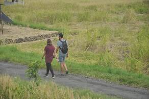 Tepi Sawah Lodge