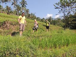 Tepi Sawah Lodge