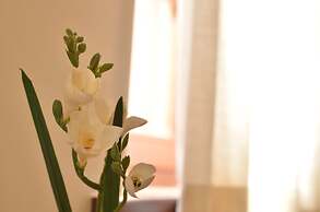 Dilofo Hotel Luxury Suites