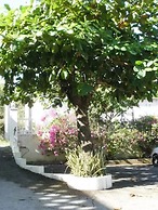 Pineapple Court Hotel