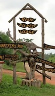 Rainforest Lodge