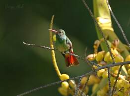 Hotel Campestre Villa Juana