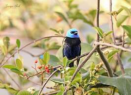 Hotel Campestre Villa Juana