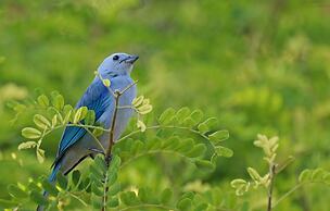 Hotel Campestre Villa Juana
