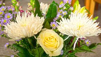 Arrandale Guest House