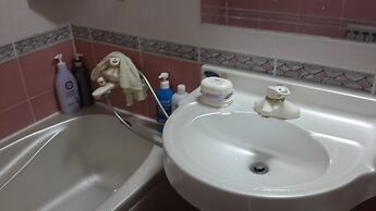 Spacious Apartment in Central Seoul