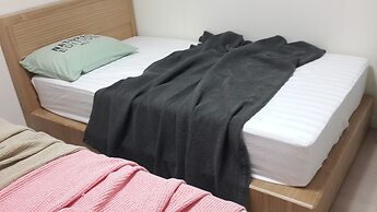 Spacious Apartment in Central Seoul