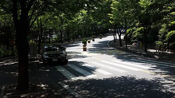 Spacious Apartment in Central Seoul