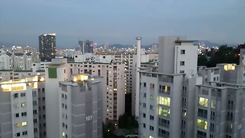 Spacious Apartment in Central Seoul