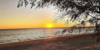 Apollonia Holiday Apartments