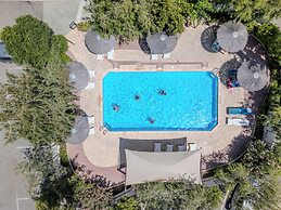 Artemis Cynthia Complex