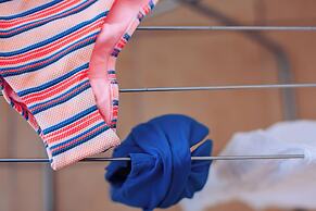 Artemis Cynthia Complex