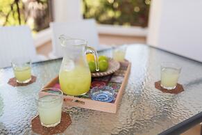 Artemis Cynthia Complex