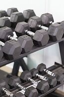 Artemis Cynthia Complex