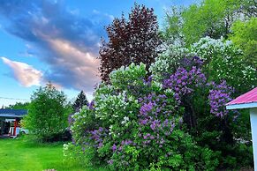 Rivermount Motel Campground and RV Park