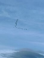 Rivermount Motel Campground and RV Park