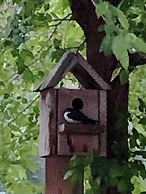 Rivermount Motel Campground and RV Park