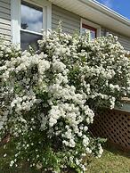 Cavendish Lodge & Cottages