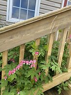 Cavendish Lodge & Cottages