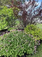 Cavendish Lodge & Cottages