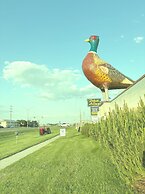 Dakota Inn
