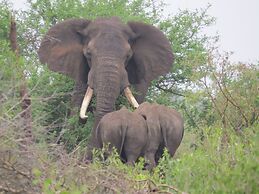 Crocodile Bridge Safari Lodge