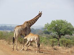 Crocodile Bridge Safari Lodge