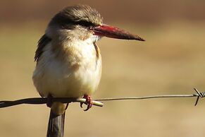 Crocodile Bridge Safari Lodge