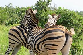 Crocodile Bridge Safari Lodge