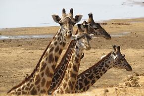Crocodile Bridge Safari Lodge
