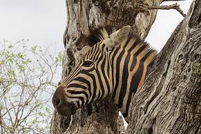Crocodile Bridge Safari Lodge