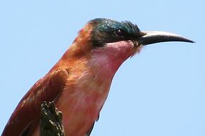 Crocodile Bridge Safari Lodge