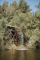 Calamigos Guest Ranch and Beach Club