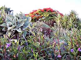 Rododafni Beach Apartments