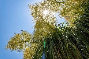 Rododafni Beach Apartments