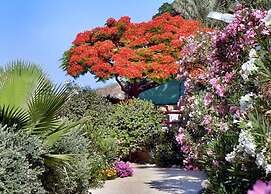 Rododafni Beach Apartments