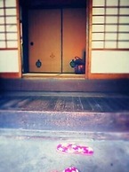 Guest House Aloes House - Hostel