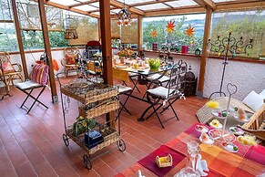 B&B Glicine